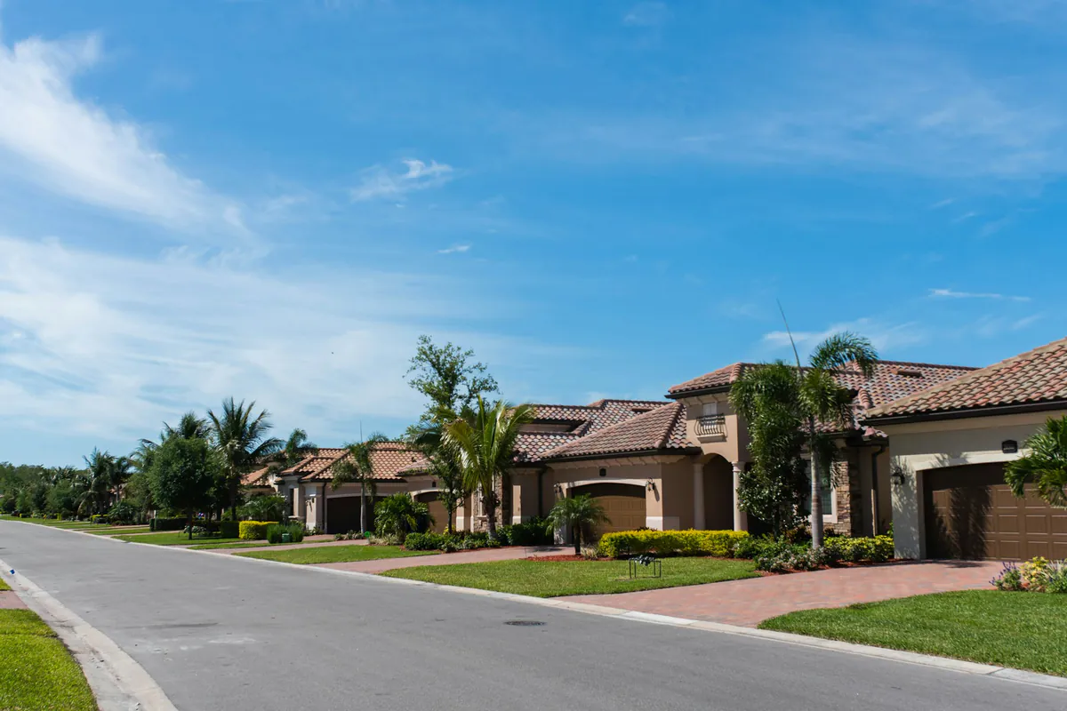 Florida suburban street lined with palm trees and single family homes