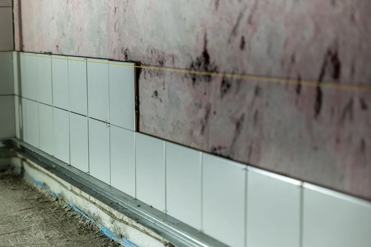 How to Sell a House With Mold